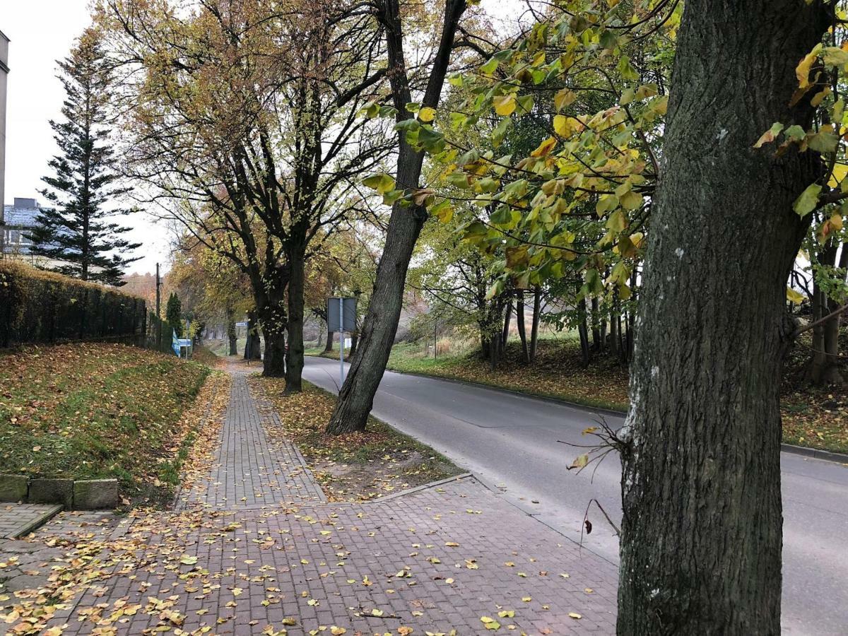 Apartament Perła Kartuz z sauną Kartuzy Bagian luar foto